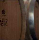 Open Days of Appellations Sauternes and Barsac